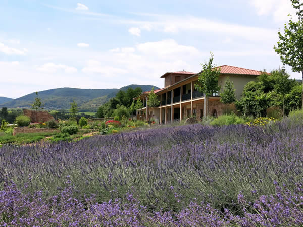 lavendelfest-edenkoben